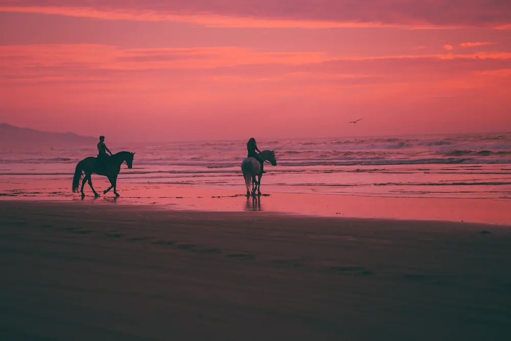 Horse Riding Trip at Patara