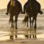 Horse Riding Beach